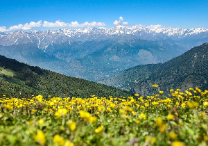 SHIMLA –KULLU – MANALI