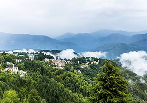 DALHOUSIE